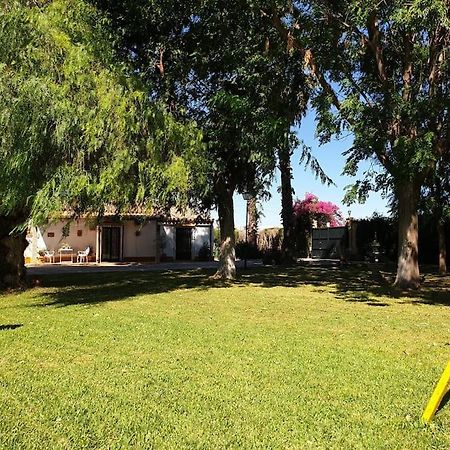 Finca El Romero, Finca A 15 Minutos De Sevilla Alcala del Rio Buitenkant foto