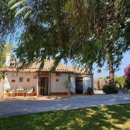 Finca El Romero, Finca A 15 Minutos De Sevilla Alcala del Rio Buitenkant foto