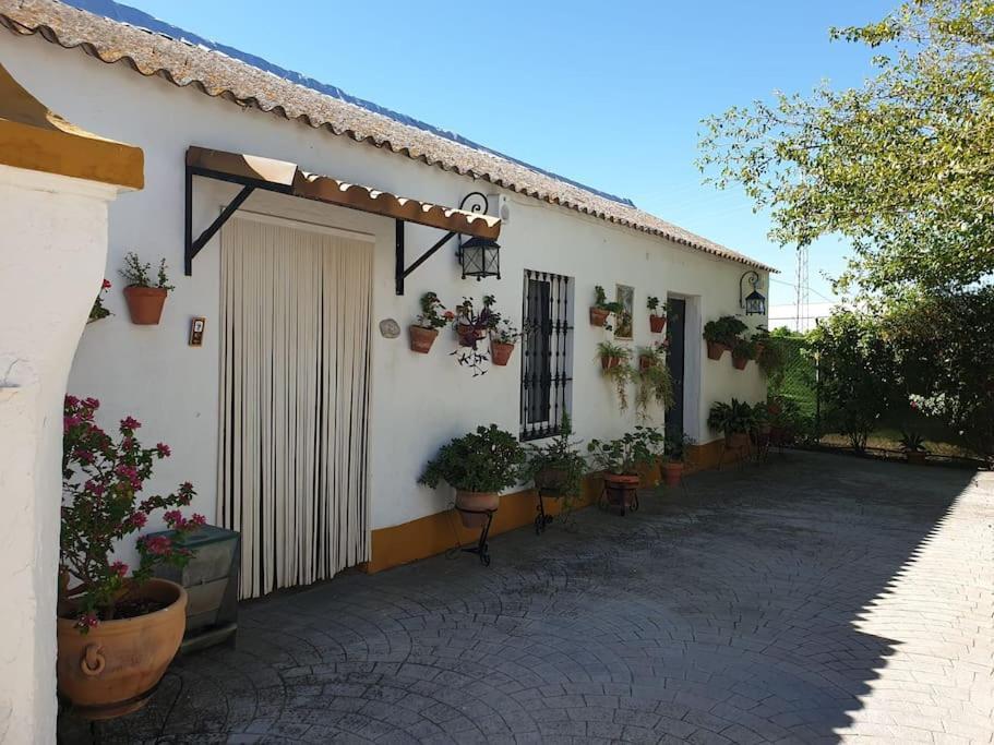 Finca El Romero, Finca A 15 Minutos De Sevilla Alcala del Rio Buitenkant foto